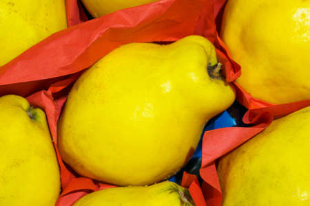Organic quince. Natural vitamins in a retail grocery store. Selective focus with copy space for...