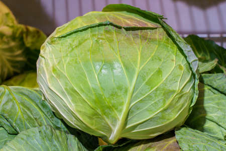 Farm organic fresh cabbage. Natural vitamins in a retail grocery store. Selective focus with copy...