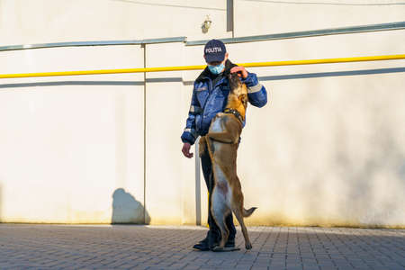 Dog training. Police dog bloodhound. Sheepdog in the service of the state. Balti Moldova November...
