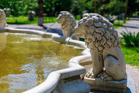 City fountain in the park. Lion as a symbol of protection in ancient architecture. Background with copy space for textの写真素材