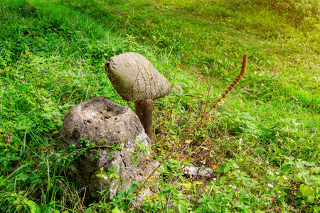 Broken and destroyed drinking fountain in the shape of a fish. An element of nostalgia for the...