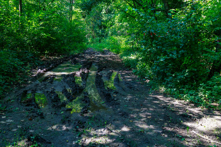 Mud and off-road with puddles. Background with copy space for text or inscription