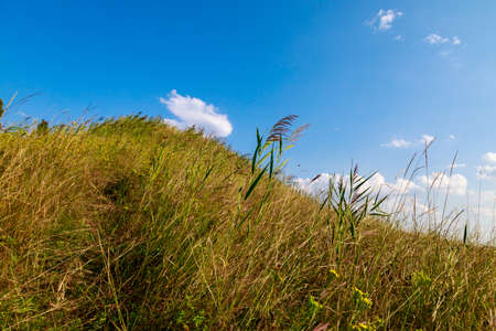 The hilly nature of Eastern Europe. Background with copy space for text or inscriptions, tonedの写真素材