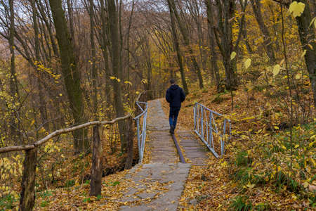Footpath or hiking trail in the wild with autumn forest. Natural background with copy space for text or letteringの写真素材