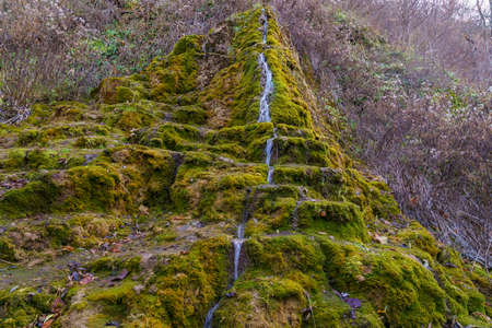 Natural spring with mineral drinking water in the wild with stones overgrown with moss. Background or backdrop with copy space for textの写真素材