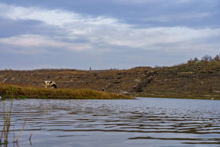 Bank of the river. Nature background with copy space for text or lettering.の写真素材