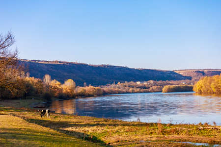 Wide river. Eastern european background with copy space for text or lettering. Ideal for fishing and rafting. View through the eyes of a touristの写真素材