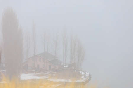 Foggy bank of a river or reservoir in damp cold weather. Background with copy space for textの写真素材