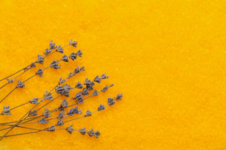 Herbarium or dried lavender flowers on the background of sea aromatic bath salt. Aromatherapy and relaxation concept. Abstract copy space for text.の写真素材