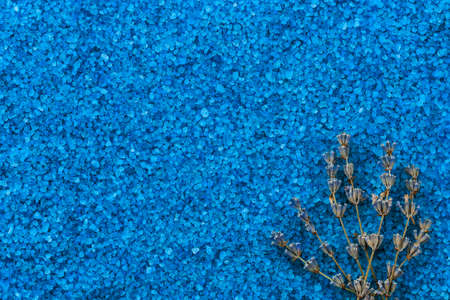Herbarium or dried lavender flowers on the background of sea aromatic bath salt. Aromatherapy and relaxation concept. Abstract copy space for text.の写真素材