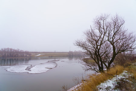 Foggy bank of a river or reservoir in damp cold weather. Background with copy space for text
