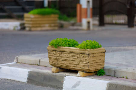 Flowerbeds for decorative landscaping of the urban environment. Background with selective focus and copy space for text or inscriptionの写真素材
