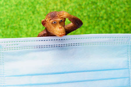 Figurine of a monkey behind a medical surgical mask. The concept of smallpox or monkeypox....
