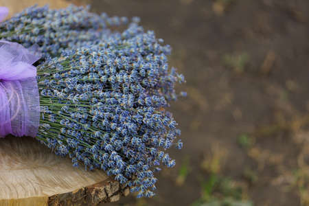Bouquet of lavender flowers with selective focus on a blurred background. Copy space for textの写真素材