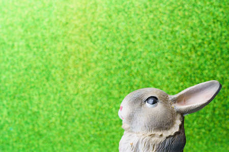 Abstract figurine of a rabbit. Symbol of 2023 according to the Eastern calendar. Background with copy space for textの写真素材