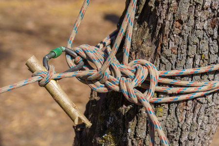 Tourist knot on a rope. Background with copy space for textの写真素材