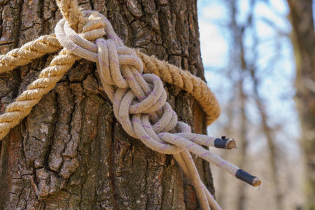 Tourist knot on a rope. Background with copy space for textの写真素材