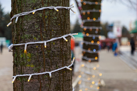 Garlands on a tree trunk, selective focus. Background of preparation for Christmas and New Year holidays.の写真素材