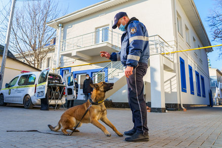 Dog training. Police dog bloodhound. Sheepdog in the service of the state. Balti Moldova November 25, 2021のeditorial素材