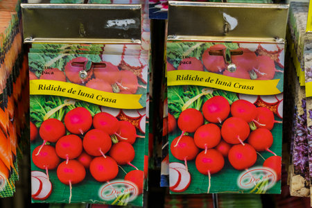 Seeds of radish for seedlings. February 17, 2022 Beltsy Moldova.のeditorial素材