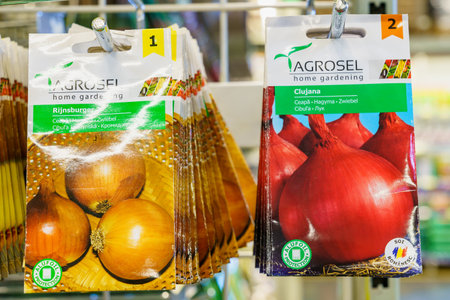 Onion seeds in bags. February 17, 2022 Beltsy Moldova.のeditorial素材