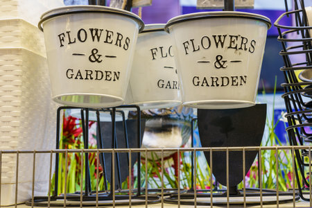 Flower pots on the supermarket shelf. February 17, 2022 Beltsy Moldova.のeditorial素材
