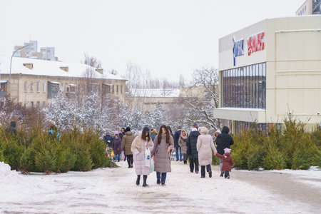 Street market with Christmas trees for New Year holidays. December 28, 2021 Beltsy Moldovaのeditorial素材