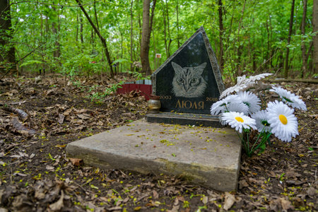 April 28, 2023 Beltsy, Moldova. For illustrative editorial use. Pet cemetery. Background with copy spaceのeditorial素材