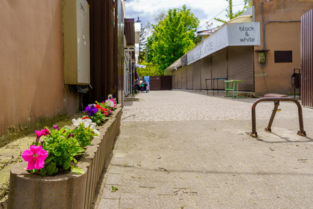 May 12, 2023 Beltsy, Moldova. For illustrative editorial use. City flower bedsのeditorial素材