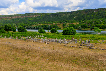 July 30, 2023 Vadul Rascov Moldova. Ruins of an abandoned Jewish old cemetery with tombstones.のeditorial素材