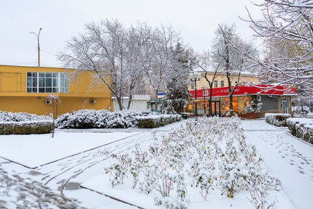 November 21, 2022 Beltsy, Moldova. For illustrative editorial use. Winter with snow in the city.のeditorial素材