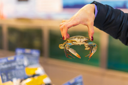 Crab in a female hand. Background with selective focus