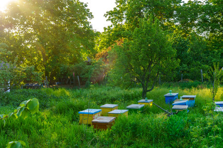 Bee hives. Background with selective focus and copy space for text.