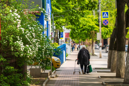 Flowering bushes. Background with selective focus and copy space for text.の写真素材