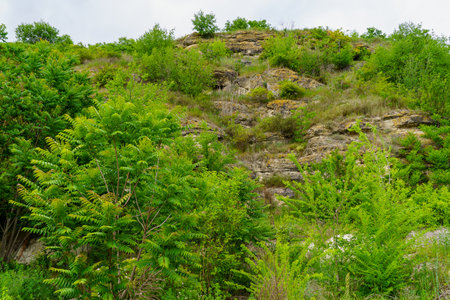 Rocky nature. Background with selective focus and copy space for text.の写真素材