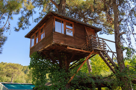 Wooden treehouse. Background with copy space for text