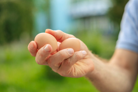 A man's hand holds two eggs. Selective focus on hands with blurred background and copy space for text.の写真素材
