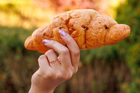 Woman's hand holding a croissant, snack and fast food concept. Selective focus on hands with blurred background and copy space for text.の写真素材
