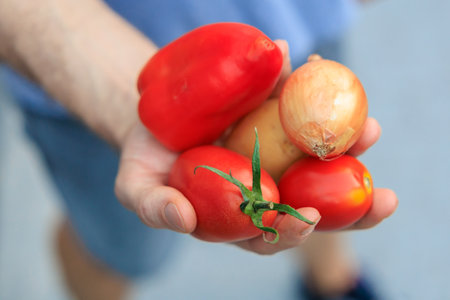 A man's hand holds vegetables. Selective focus on hands with blurred background and copy space for text.の写真素材