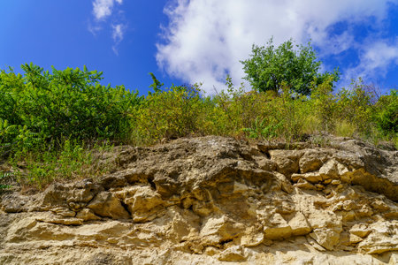 Rocky nature. Background with selective focus and copy space for text.