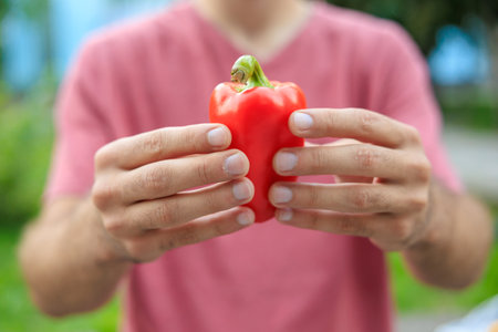 The guy's hand holds a bell pepper. Selective focus on hands with blurred background and copy space for text.の写真素材