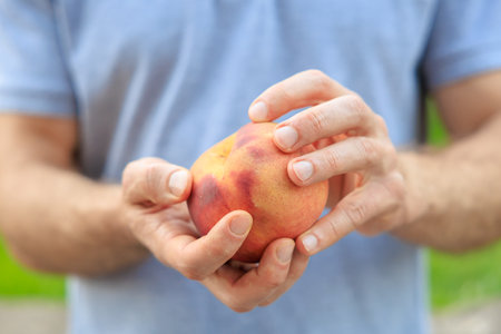 A man's hand holds a peach, snack and fast food concept. Selective focus on hands with blurred background and copy space for text.の写真素材