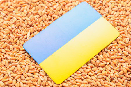 Ukraine flag on a background of wheat grain. Concept of grain deal and world food security. Texture or backdropの写真素材