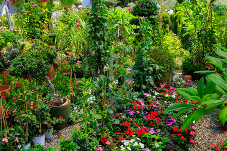 Garden for growing ornamental plants. Background with selective focus and copy space for textの写真素材