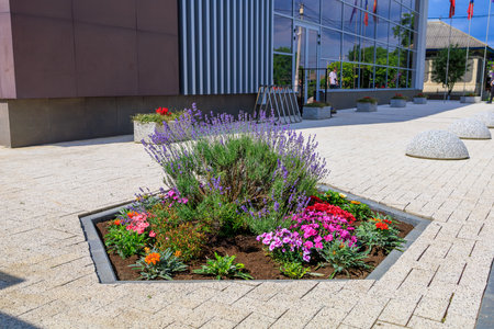 Flowerbed with flowers. Background with selective focus and copy space for text.の写真素材