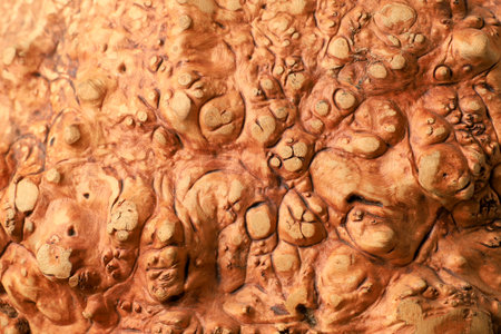 Rough textured wooden background or backdrop closeup.の写真素材