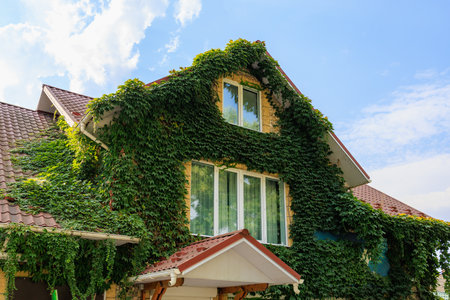 Green house. Background with selective focus and copy space for textの写真素材