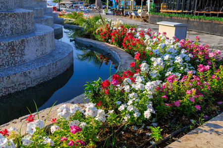 Flowers in a summer flowerbed. Background with selective focus and copy space for text.の写真素材