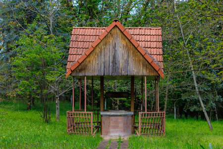 Rustic wooden gazebo with red roof in lush green forest setting.の写真素材