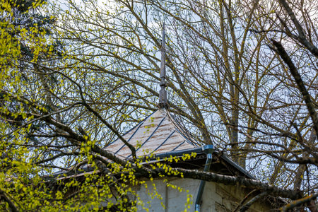 Historic stone tower roof surrounded by spring branches.の写真素材